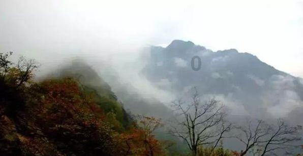 逃离小人国森林
