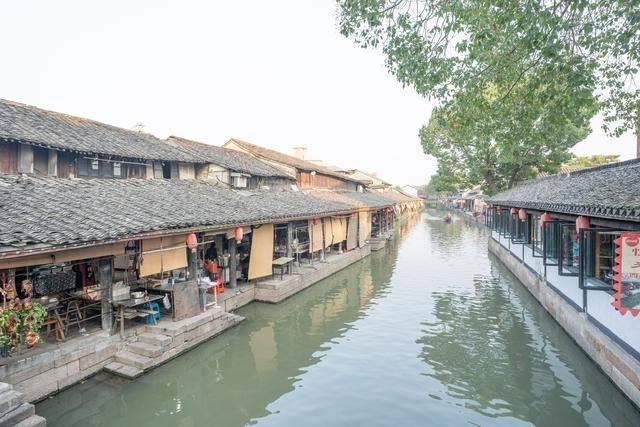 奔跑的兔子