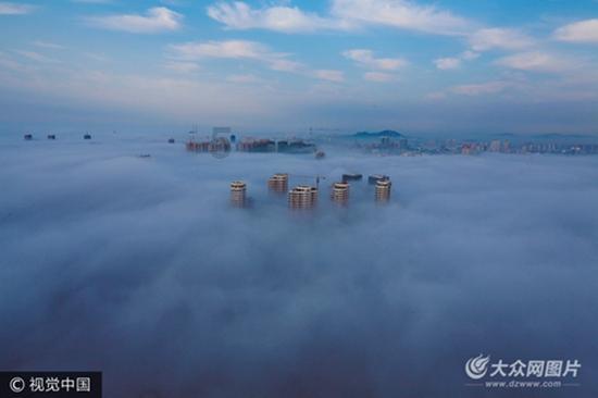 救援鹦鹉